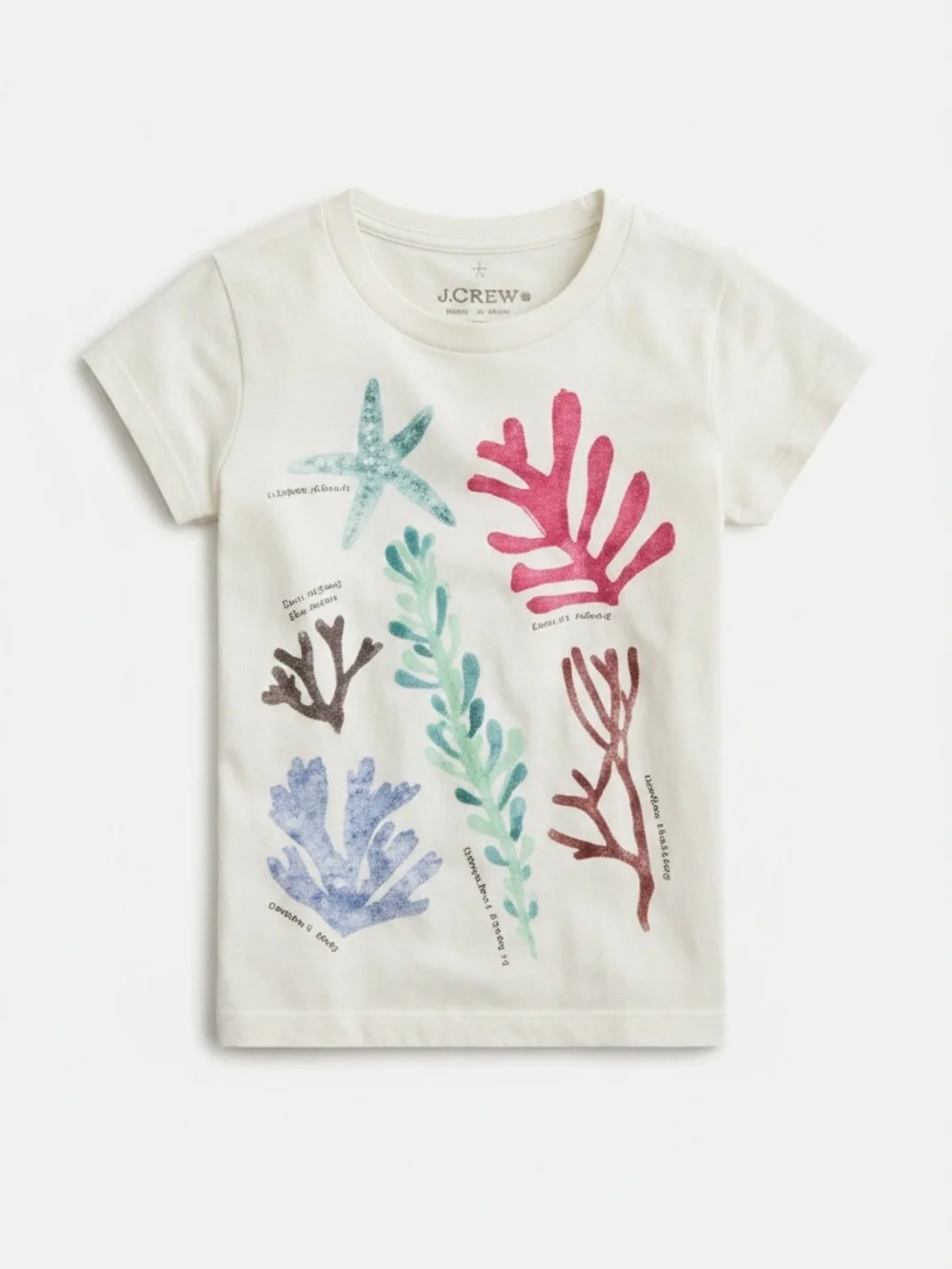 J.Crew Crewcuts Girls Under The Sea Graphic Tee Coral Garden Size Small S 6-7